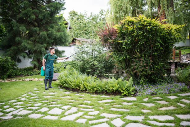 Best Local Pest Control Services  in Penn Farms, PA