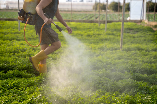 Best Pest Removal Services  in Penn Farms, PA