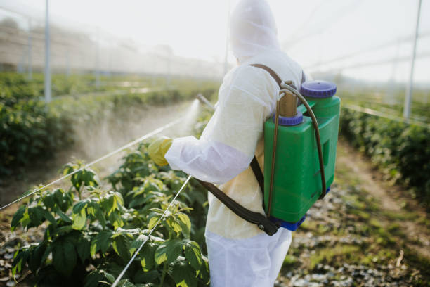 Best Affordable Pest Control Services  in Penn Farms, PA